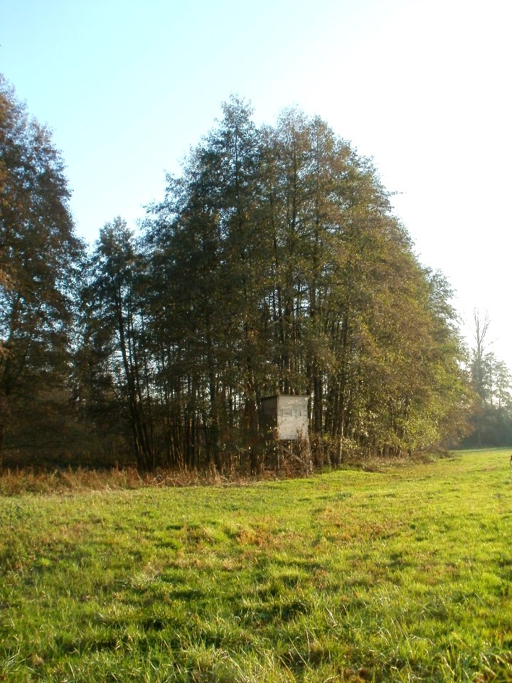 20111121Marlach03