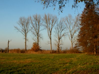 20111121Silz01