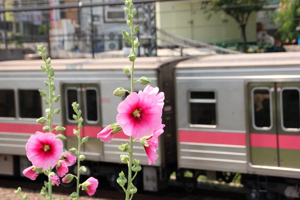 Korea south korea subway transportation