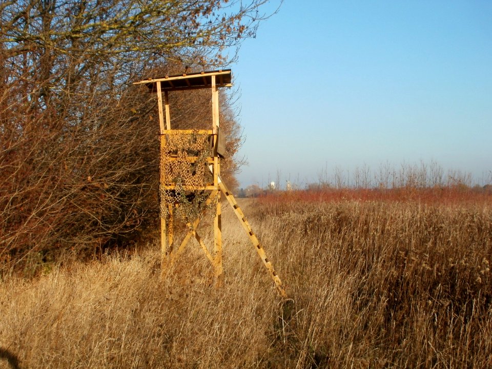 20111121Horststuecker01