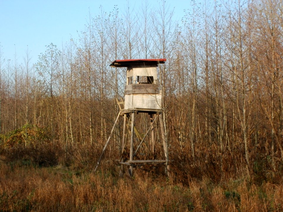 20111121Schwarzes_Teich1