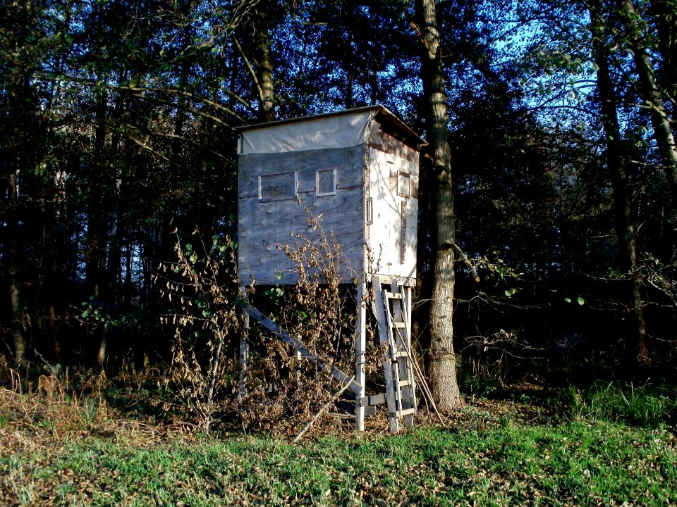 20111121Marlach04