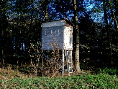 20111121Marlach04