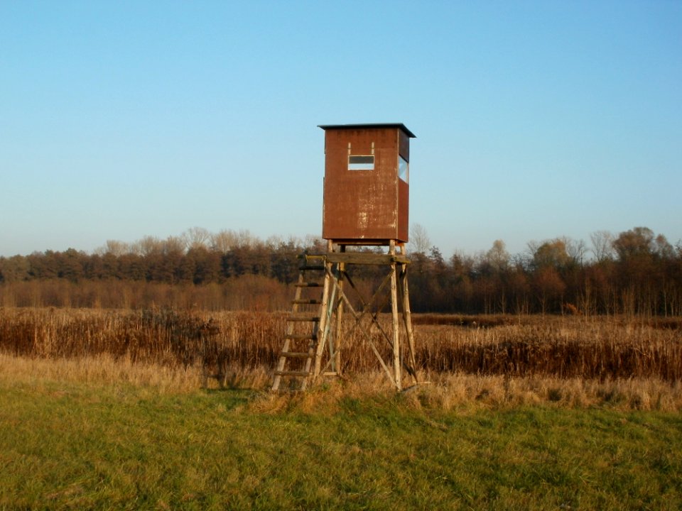 20111121Marlach05
