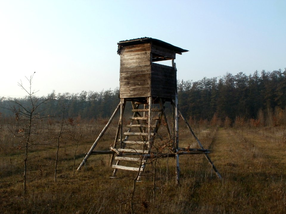 20111115Hochsitz_Hockenheim10