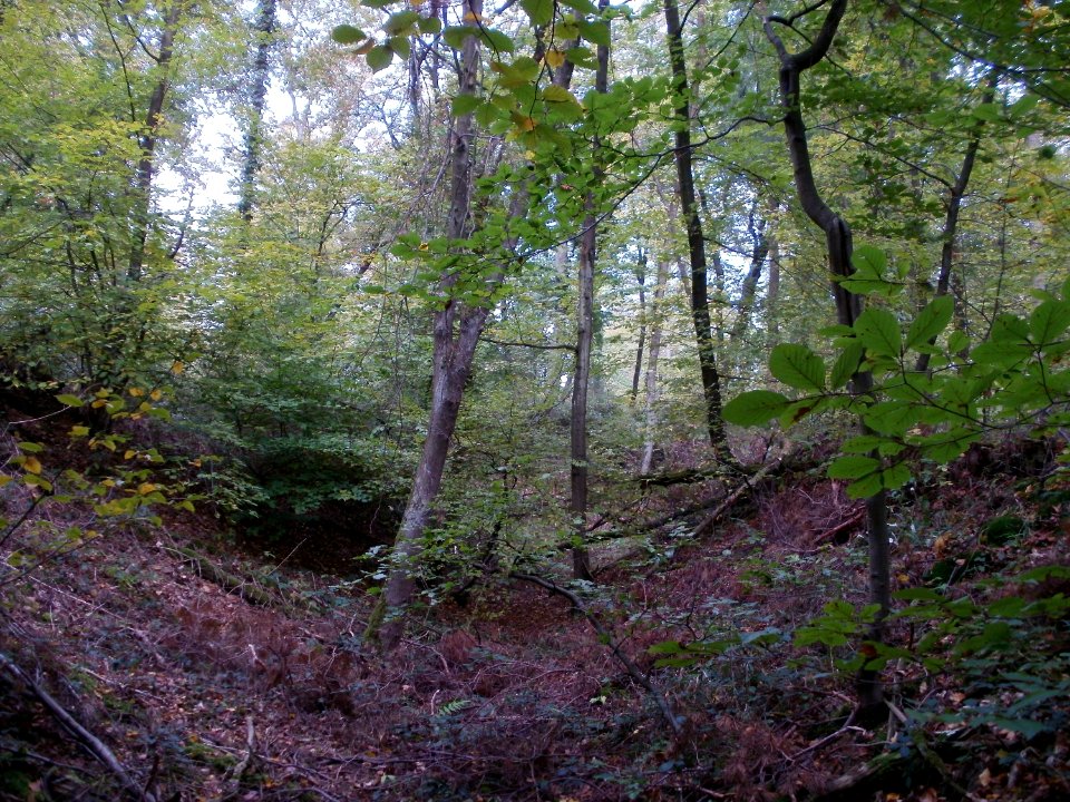20111024Schanzen_Philippsburg7