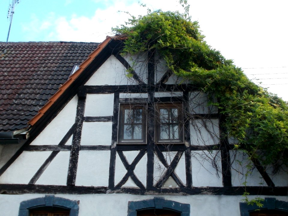 20111024Germersheimer_Str17Rheinsheim3