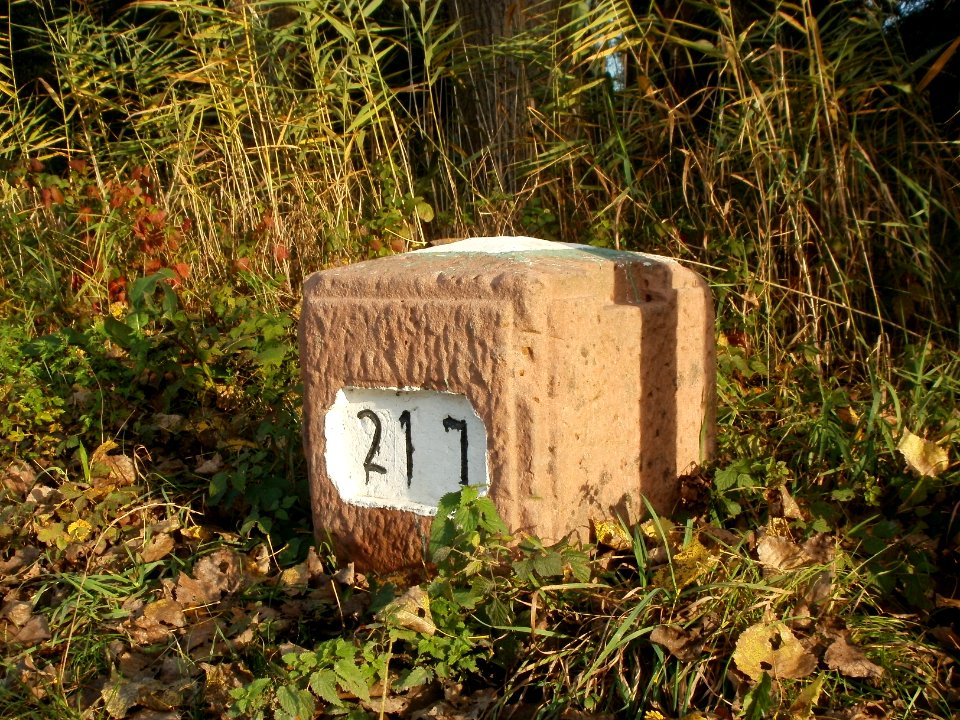 20111024Alter_Rheinkilometer217_3