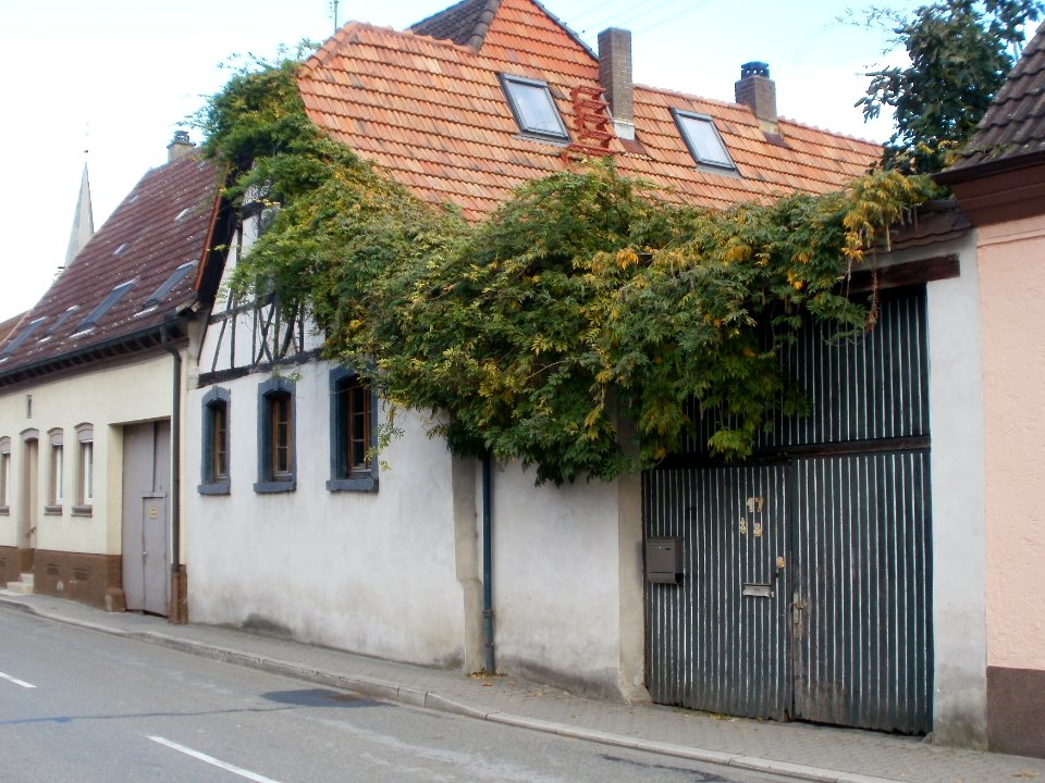 20111024Germersheimer_Str17Rheinsheim1