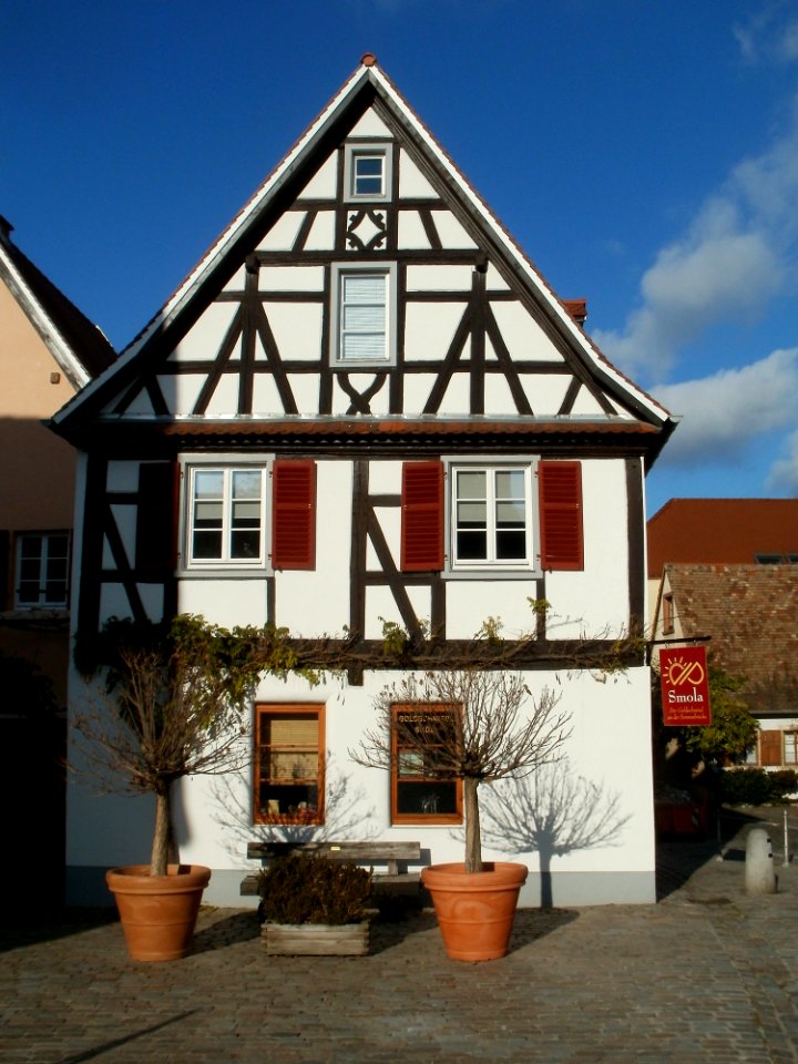 20111127Speyer36
