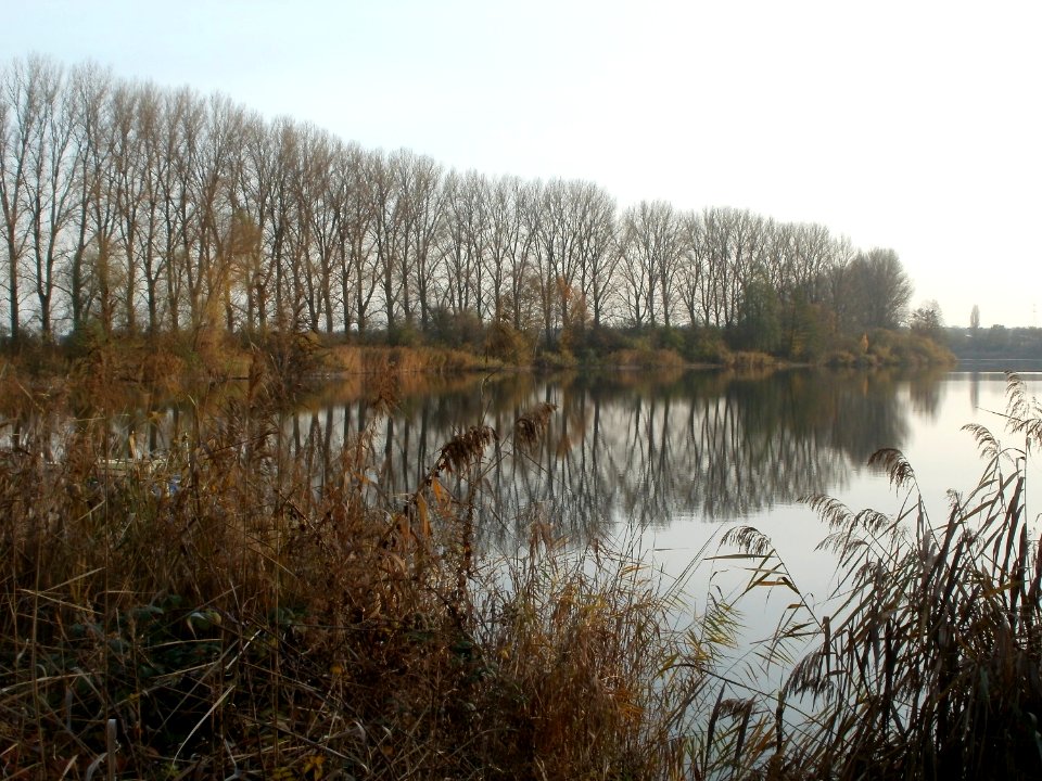 20111124Reilinger_See1