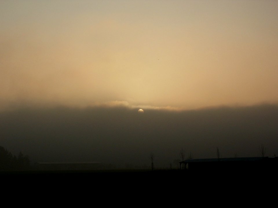 20111128Nebel_Reilingen2