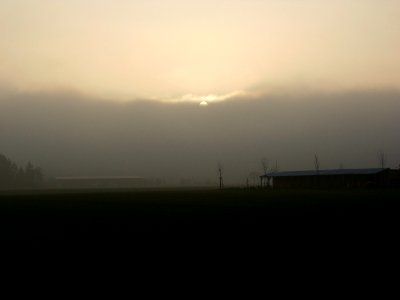 20111128Nebel_Reilingen3