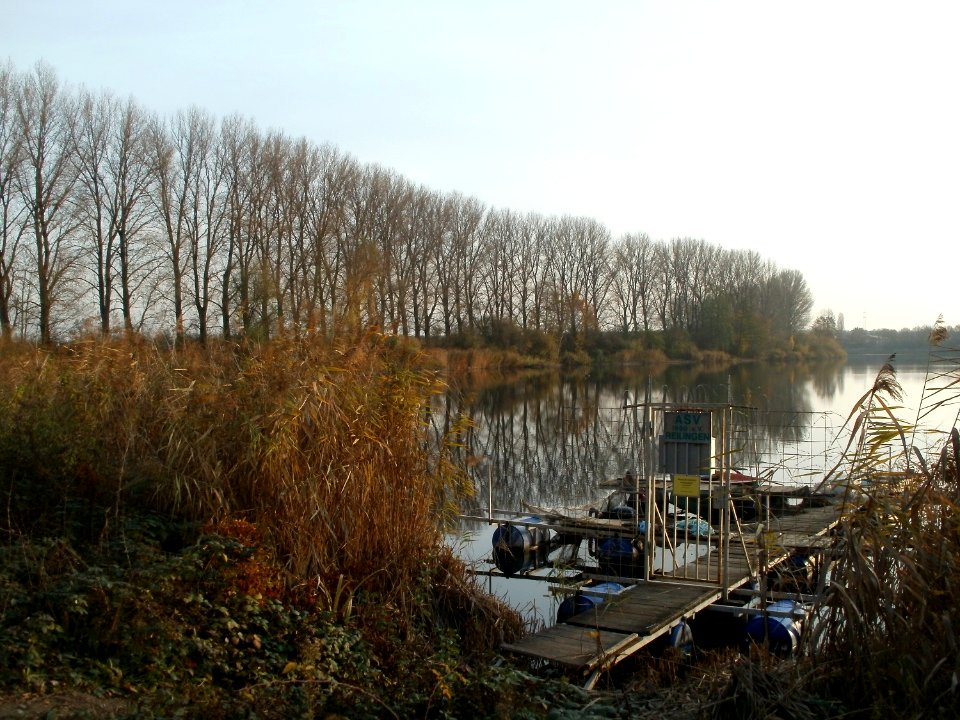 20111124Reilinger_See3
