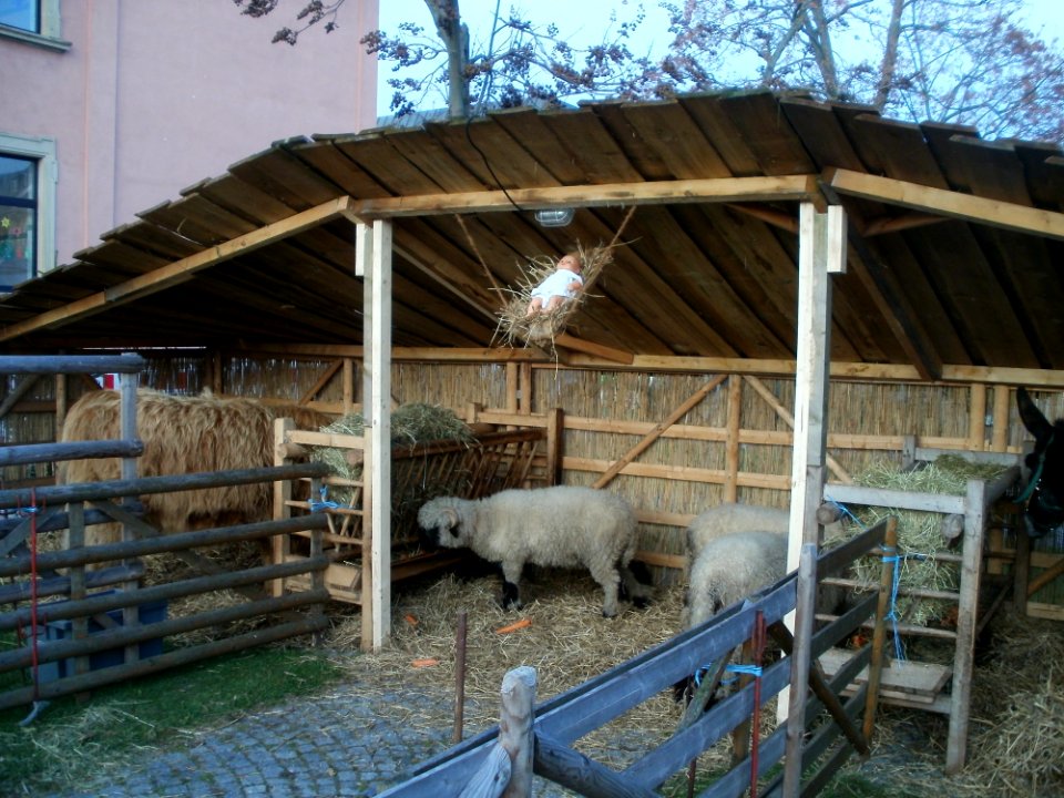 20111125Hockenheim2