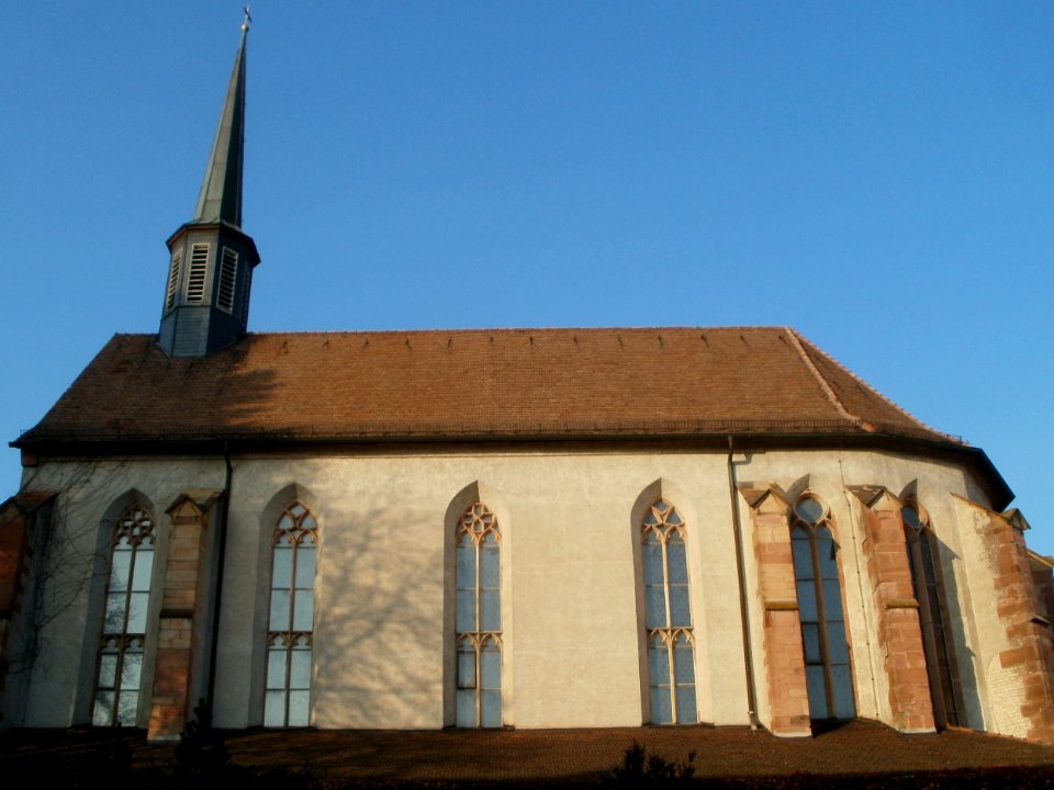 20111113St_Ludwig_Speyer1
