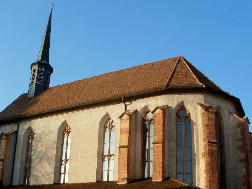 20111113St_Ludwig_Speyer2