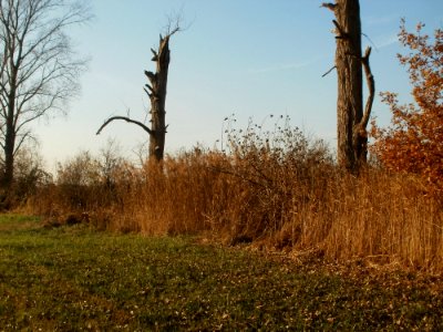 20111121Silz03