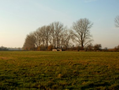 20111121Silz11