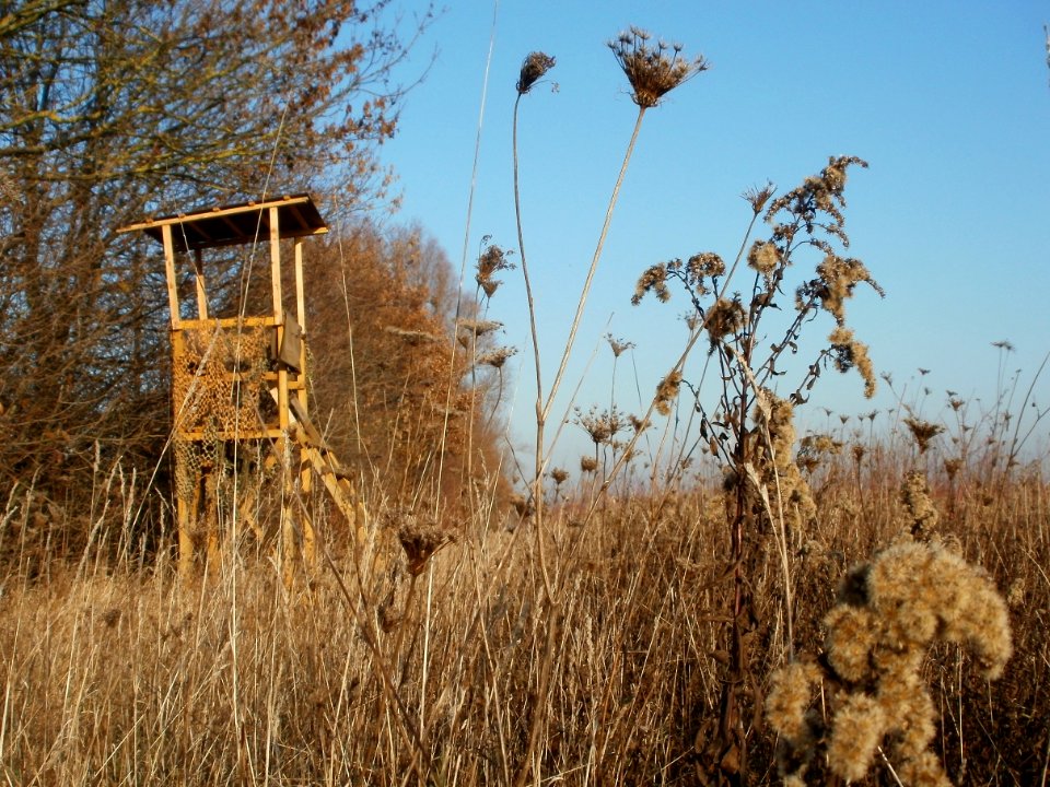 20111121Horststuecker03