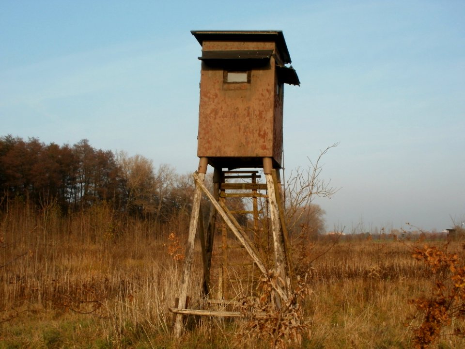 20111115Hochsitz_Hockenheim01
