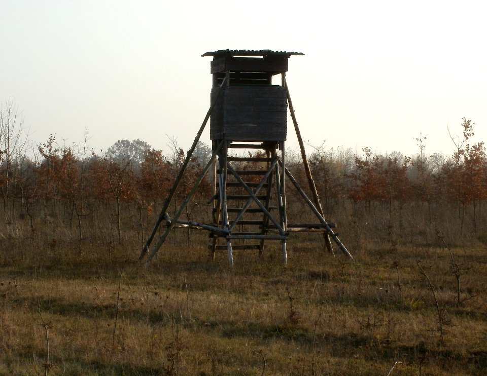 20111115Hochsitz_Hockenheim04