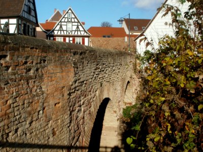 20111127Speyer30 photo