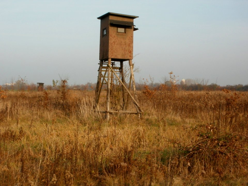 20111115Hochsitz_Hockenheim03