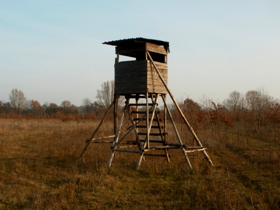 20111115Hochsitz_Hockenheim05