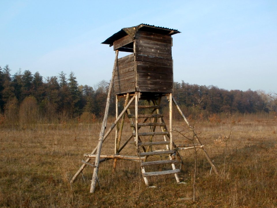20111115Hochsitz_Hockenheim08
