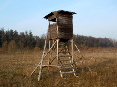 20111115Hochsitz_Hockenheim08