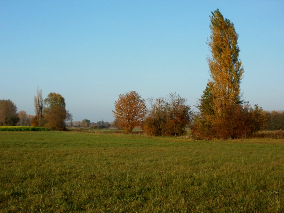 20111101Karl-Ludwig-See02