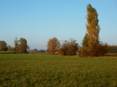 20111101Karl-Ludwig-See02