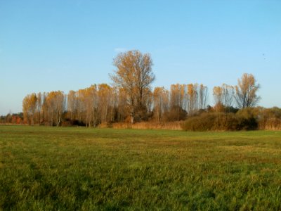 20111101Karl-Ludwig-See10