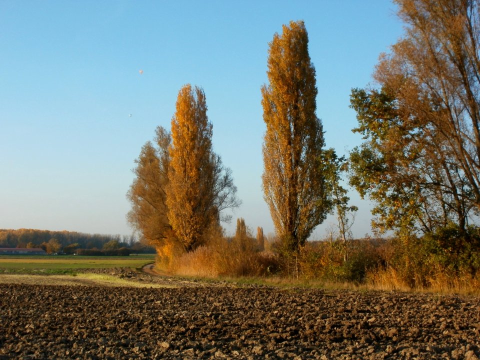 20111031Kotlachgraben_Hockenheim9