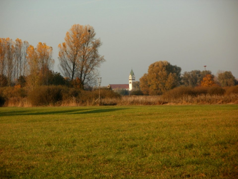 20111101Karl-Ludwig-See09