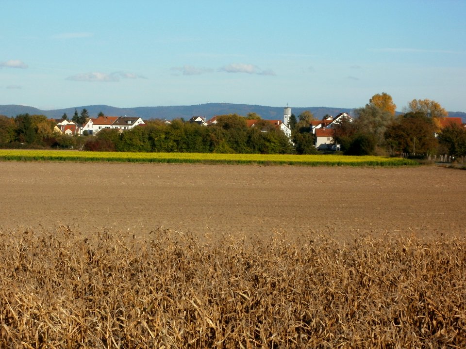 20111026Bruehl-Rohrhof08