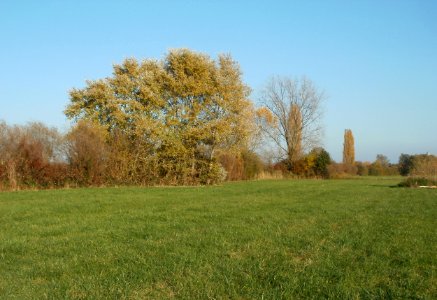 20111031Leopolds_Bachwiesen3