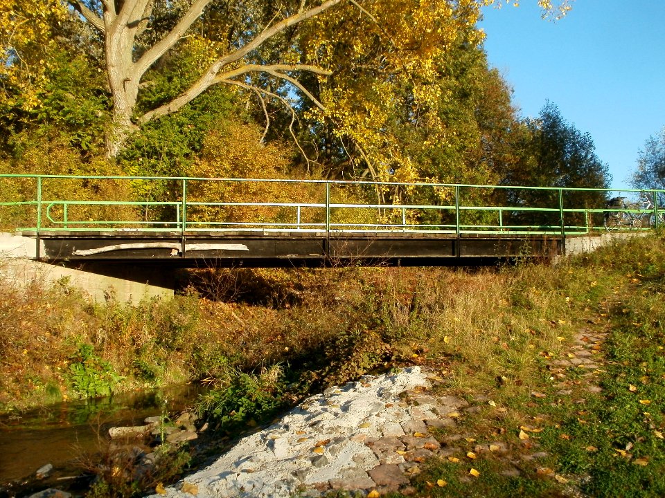 20111026Leimbachmuendung4