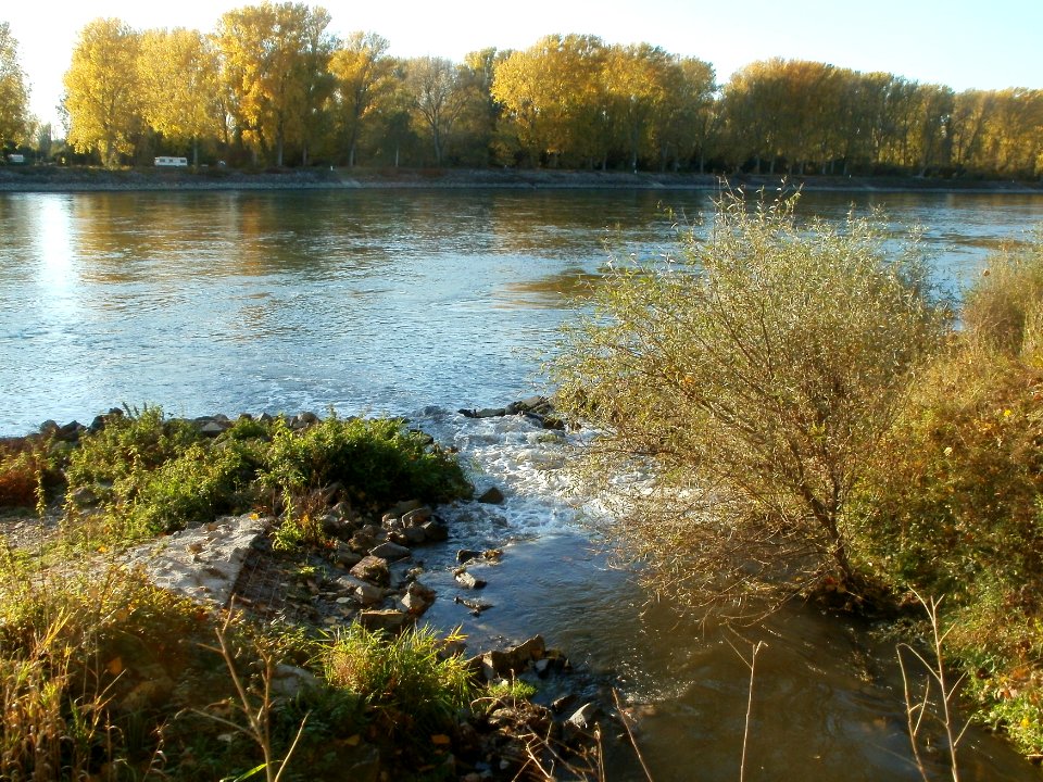 20111026Leimbachmuendung2