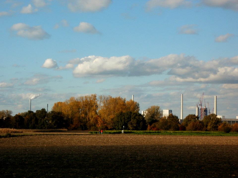 20111026Bruehl-Rohrhof01