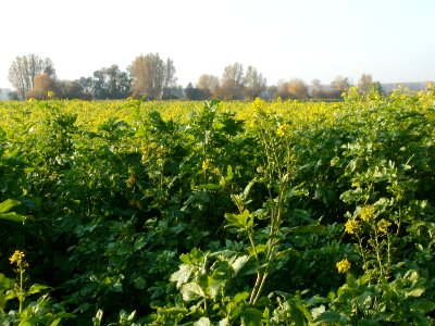 20111101Karl-Ludwig-See07