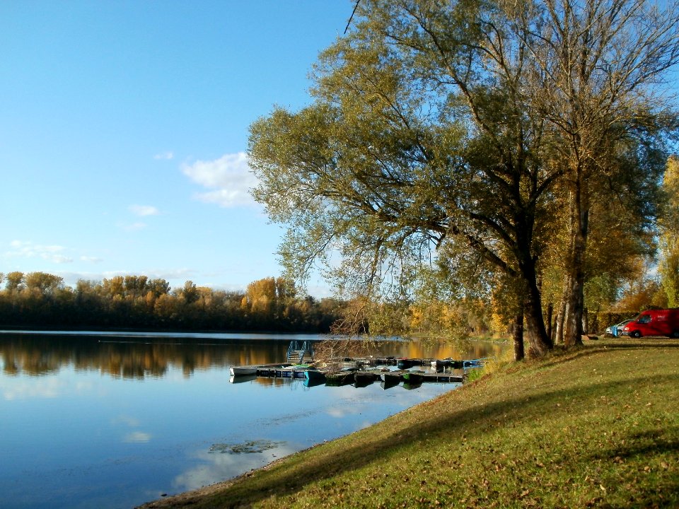 20111026Bruehl-Rohrhof09