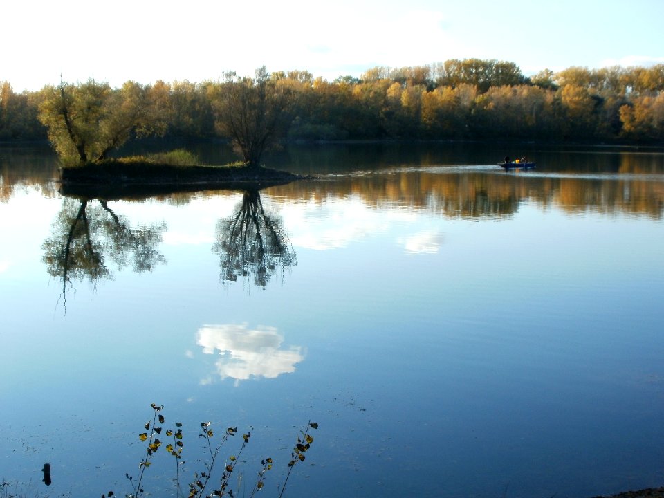 20111026Bruehl-Rohrhof10