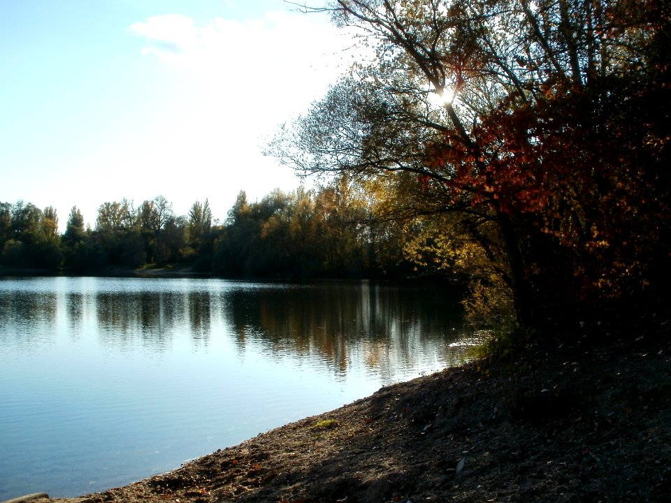 20111026Bruehl-Rohrhof16