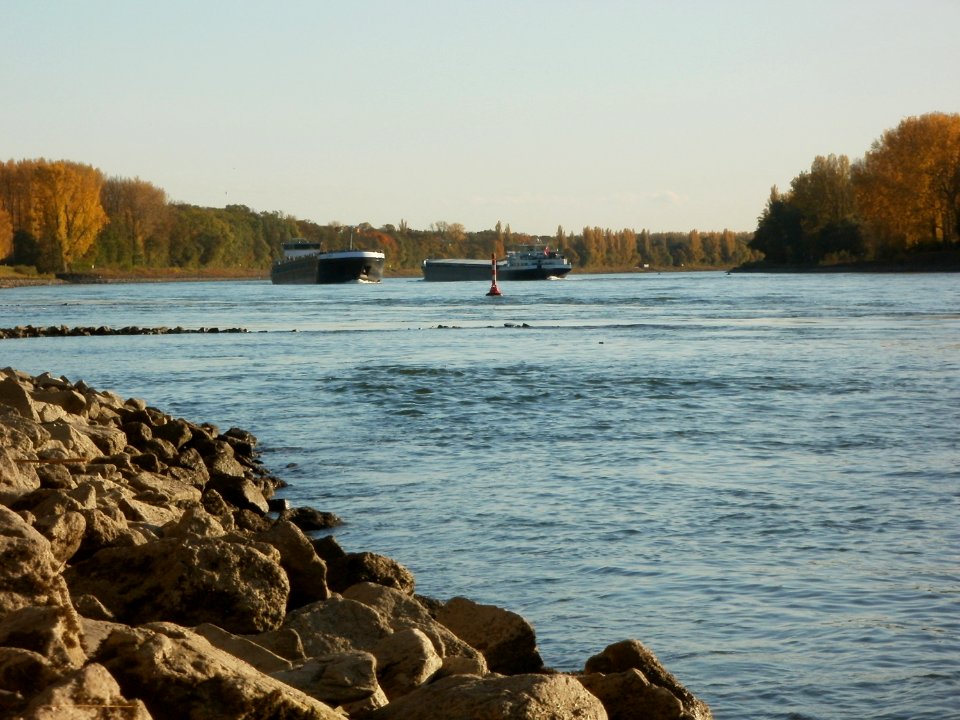 20111026Rhein_Bruehl3