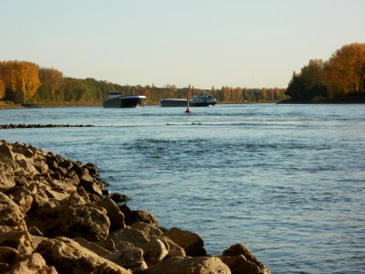 20111026Rhein_Bruehl3
