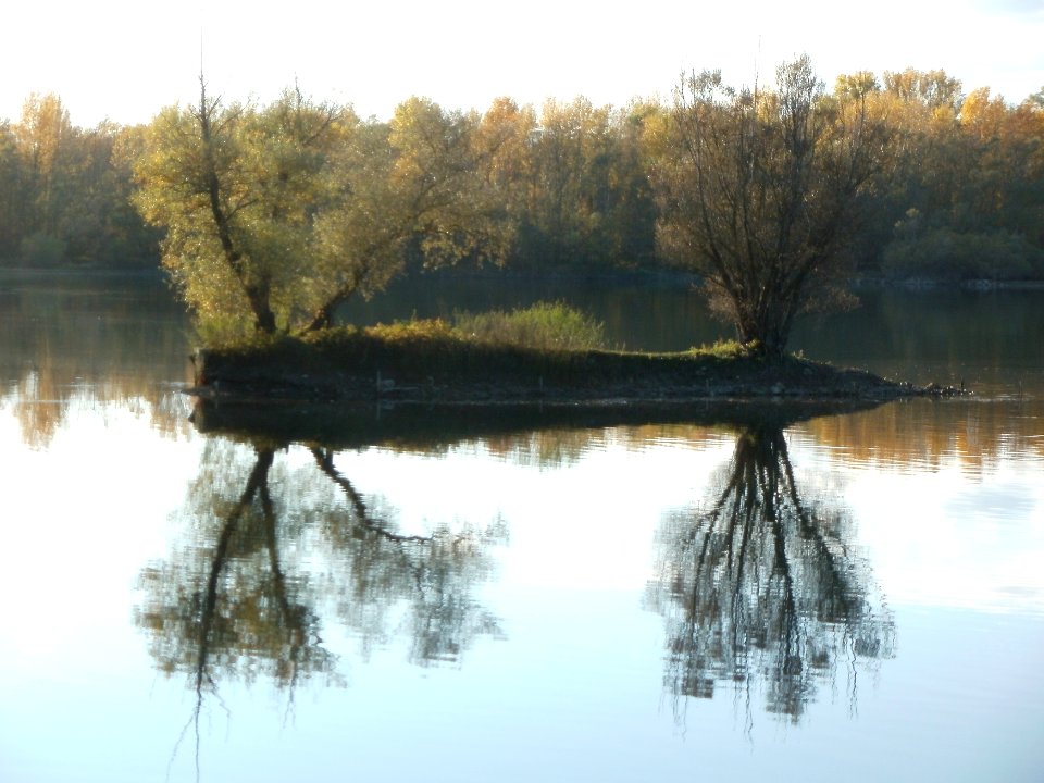 20111026Bruehl-Rohrhof11