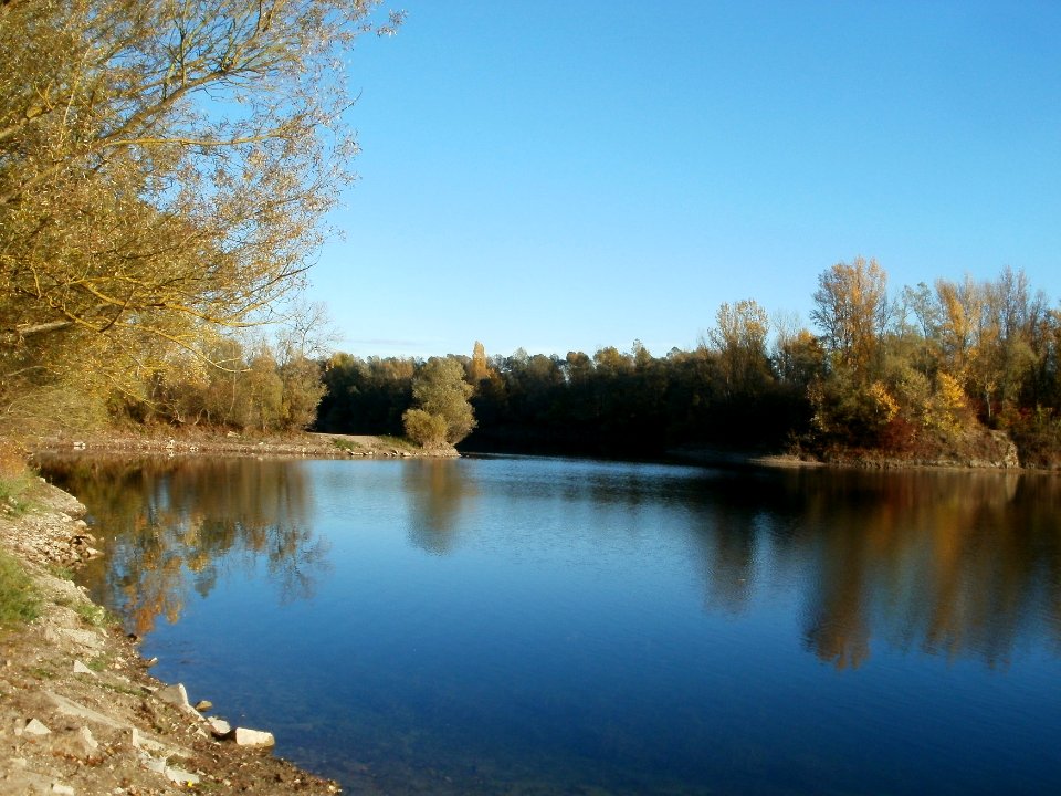 20111026Bruehl-Rohrhof15