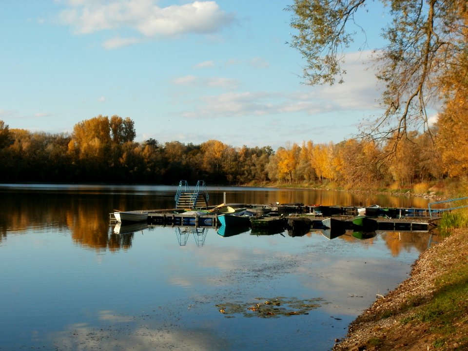 20111026Bruehl-Rohrhof12